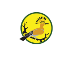 مدرسة أبو زعبل